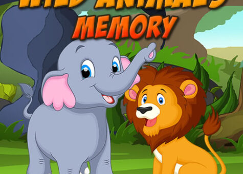 Wild Animals Memory